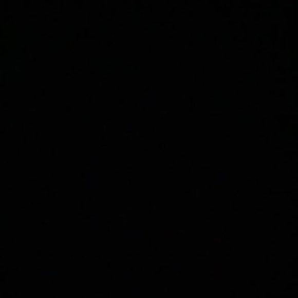 Meet your Posher, Paddy - Picture 1 of 1